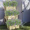 10 Bundles Artificial Flowers for Outdoor & Indoor Decor - UV Resistant Faux Blue Eucalyptus Plastic Plants - Vibrant Maintenance-Free Shrubs for Garden, Porch, & Window Boxes
